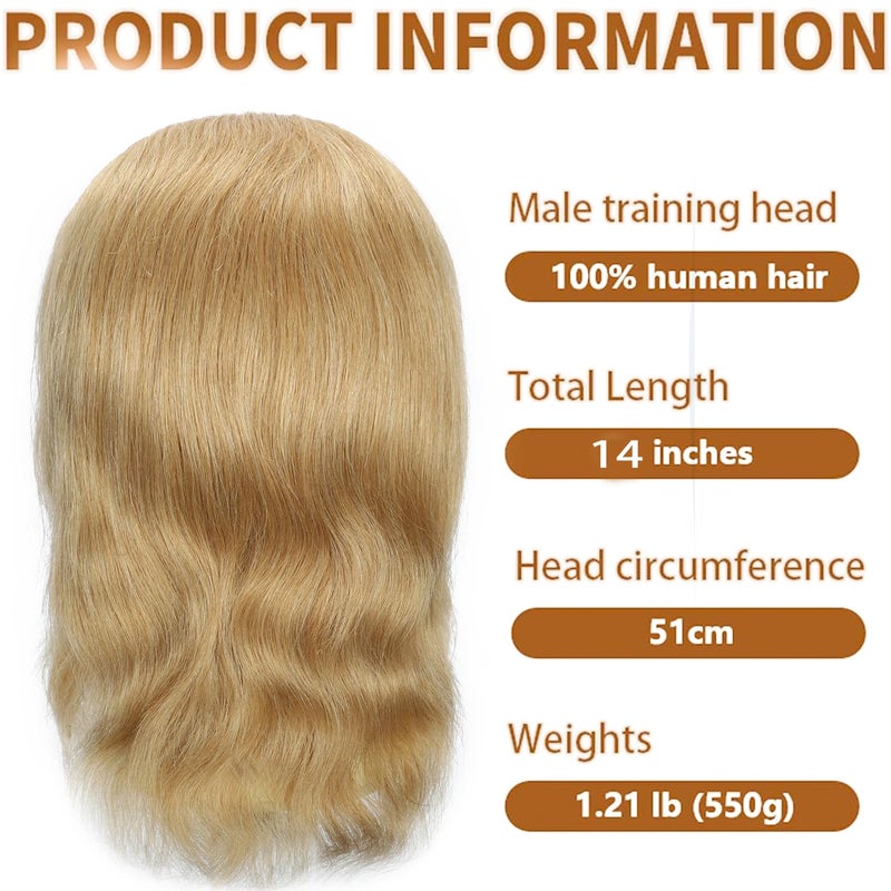 simnient Professional Male Mannequin Head, 14 Inch Blonde 100% Human Hair for Barber Hairdresser Practice Cutting & Styling, Cosmetology Training Head with Natural Straight Hair - Image 4